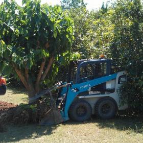 Transplanting in Bridgeman Downs.